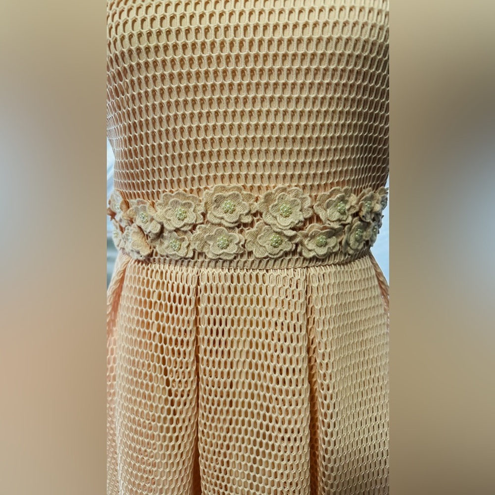 Forever 21 Mesh Floral Midi Dress in Soft Pink - Picture 2 of 6